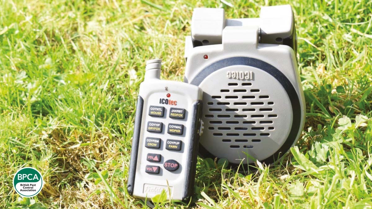 A digital fox caller A digital fox caller
